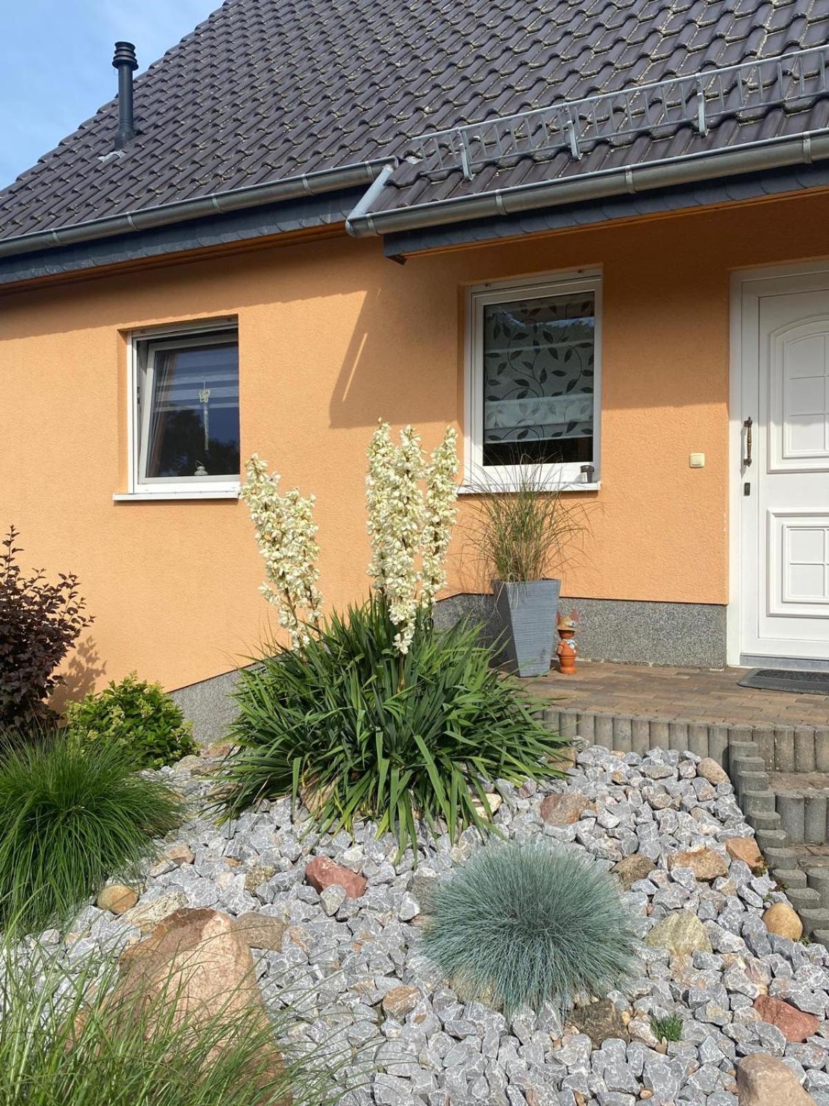 Oase Der Ruhe 2 Apartment